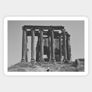 Ancient Greek Architecture Newspaper Style Sticker